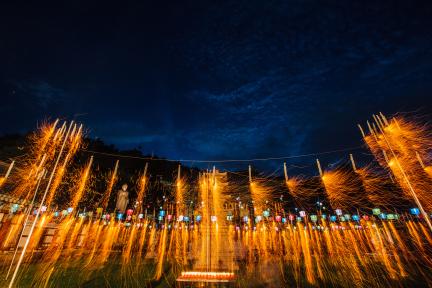 세종 불교 낙화법 대표 이미지