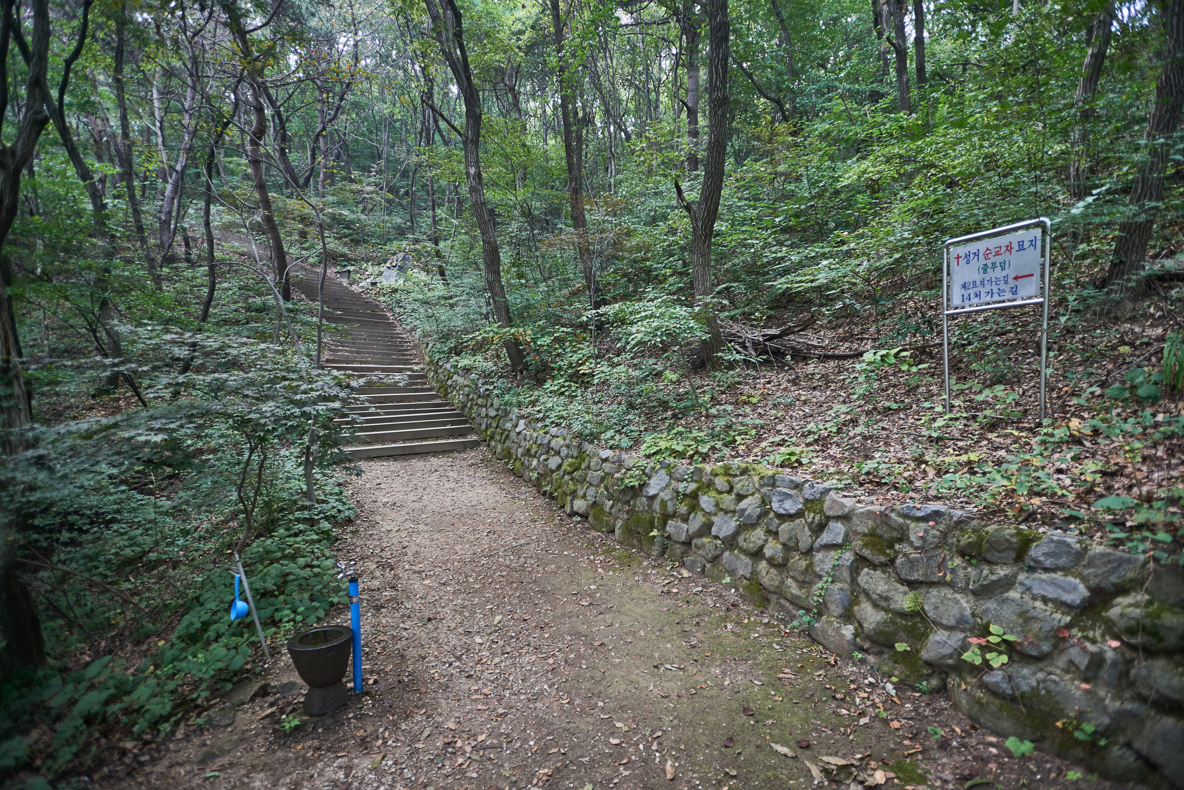 국가유산이미지 | 천안 성거산 천주교 교우촌터 천안 성거산 천주교 교우촌터