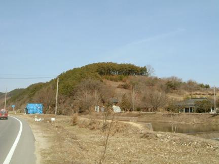 대표 이미지