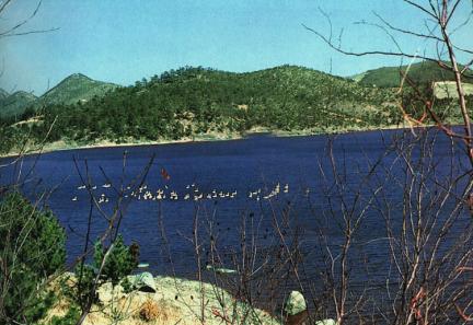 돌산평사리고니도래지 대표 이미지