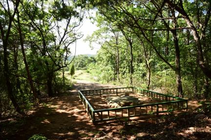교산리고인돌군