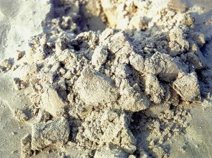 백령도사곶의사빈(천연비행장)표면의세립질모래