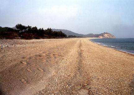 백령도남포리의콩돌해안