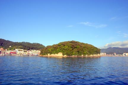 완도 주도 상록수림