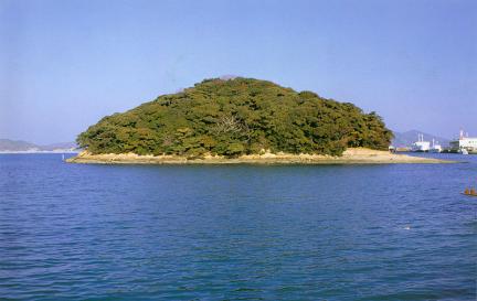 주도의상록수림