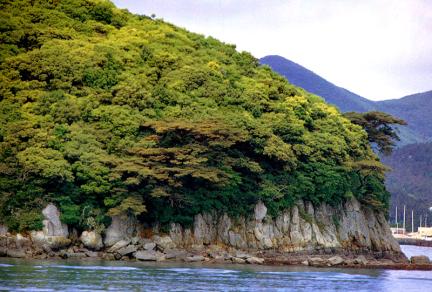 주도의상록수림