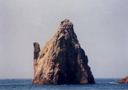 홍도 천연보호구역 대표 이미지