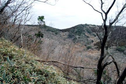 전경