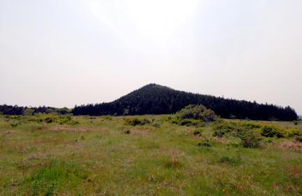 전경