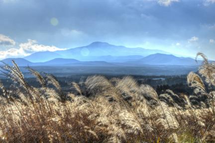 한라산 천연보호구역 대표 이미지