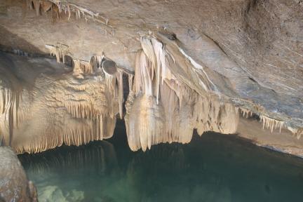 삼척 대이리 동굴지대 대표 이미지