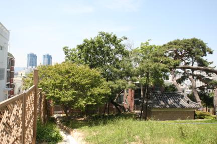 부산 구포동 당숲(2023년)