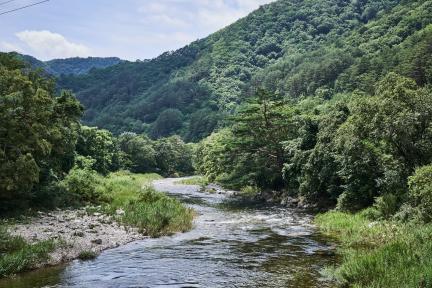 홍천명개리열목어서식지 대표 이미지