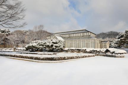 창경궁 대온실 대표 이미지