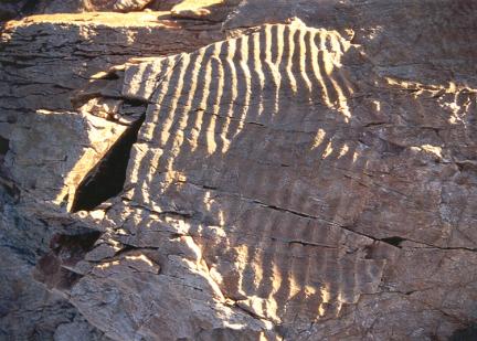 옹진 백령도 두무진 대표 이미지