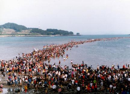 진도의바닷길 대표 이미지