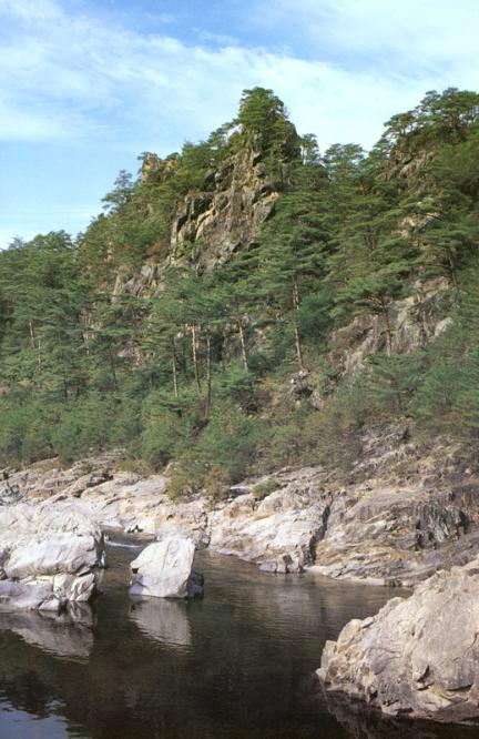 울진 불영사계곡 일원 대표 이미지