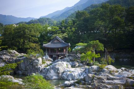 함양 화림동 거연정 일원(여름)