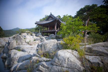 아래에서 올려본 거연정의 여름
