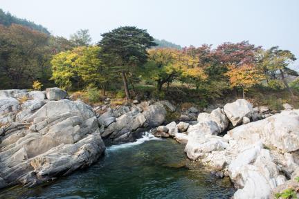 함양 화림동 거연정 일원_가을1 (촬영년도 : 2015년)