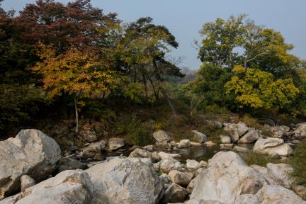 함양 화림동 거연정 일원_가을2 (촬영년도 : 2015년)