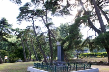 예천 초간정 원림 대표 이미지