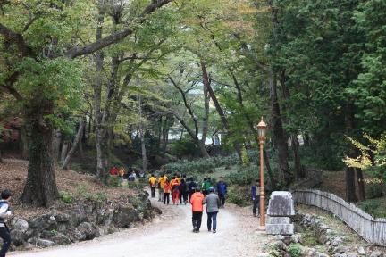 조계산 송광사·선암사 일원