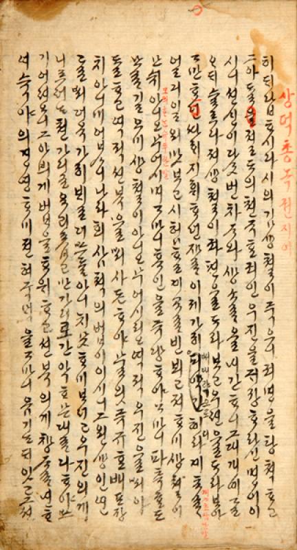 대표이미지