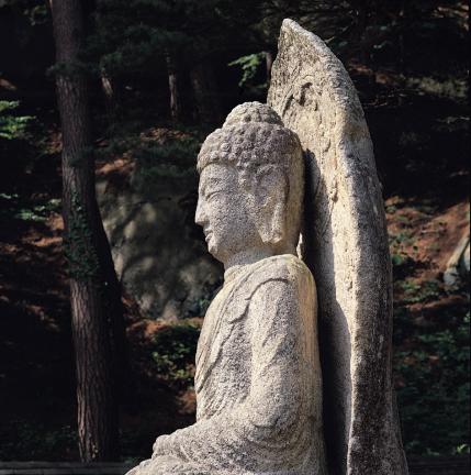 석불좌상 상반신 좌측면 향