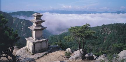 탑 전경