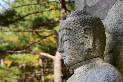 경주 남산 삼릉계 석조여래좌상_우불두 (촬영년도 : 2015년)