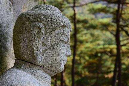 경주 남산 삼릉계 석조여래좌상_좌불두 (촬영년도 : 2015년)
