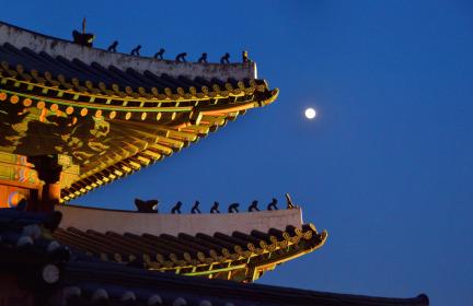 창덕궁 돈화문_처마 야경