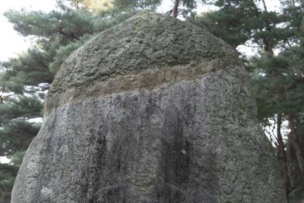 경주 남산 미륵곡 석조여래좌상 정밀실측 용역